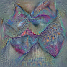 n02883205